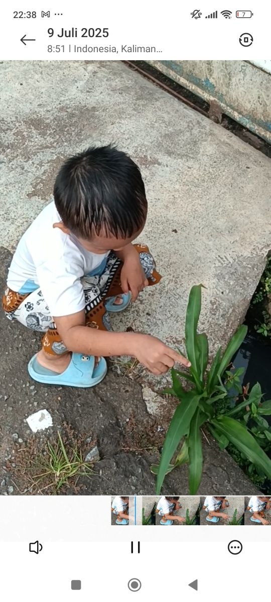 Home Edu Activity - Jalan Pagi & Observasi Alam Sekitar