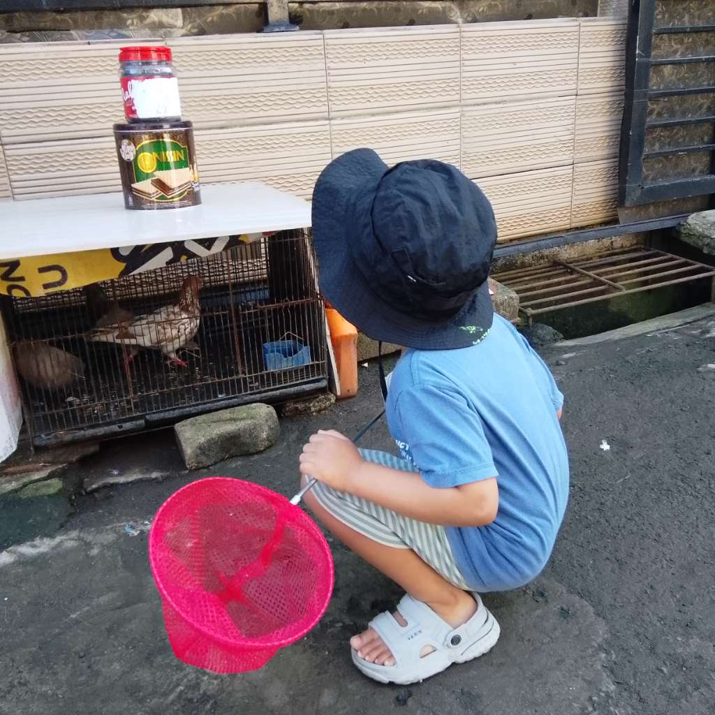 Home Edu Activity - Mengenal Alat Indera Pemberian Allah
