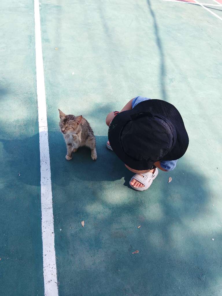Home Edu Activity - Jalan Pagi & Observasi Alam Sekitar